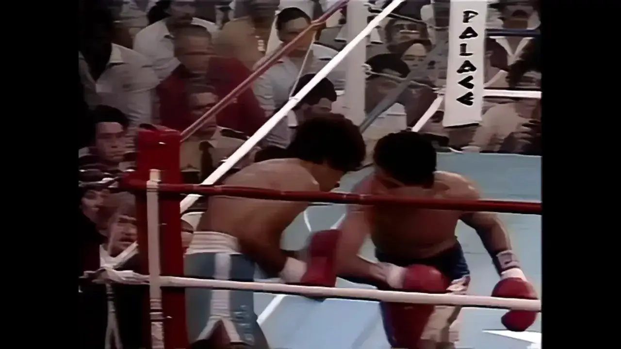 Salvador Sanchez vs Wilfredo Gomez boxing match. Sanchez lands a punch as Gomez defends. The crowd watches intently.