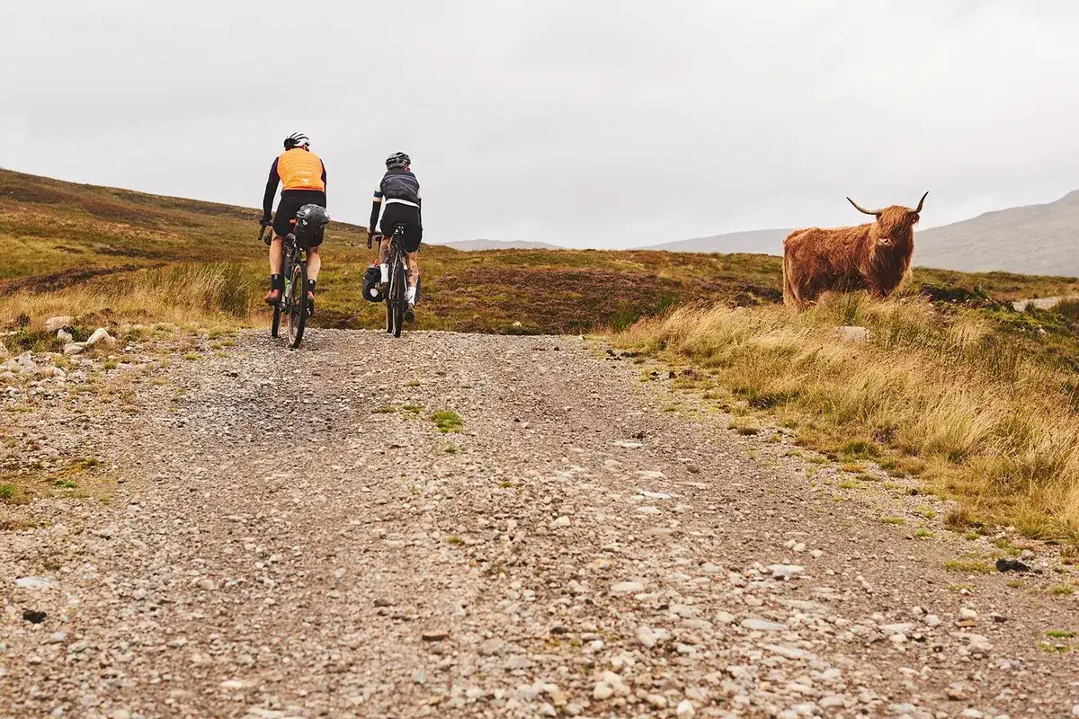 Two cyclists enjoy cycling in Scotland on a gravel path, with a shaggy Highland cow watching them from a grassy hillside.