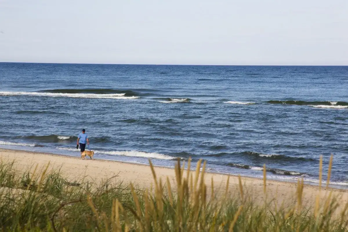 Spacer z psem po plaży w Rusinowie. Piękna pogoda i spokojne morze to jedne z wielu atrakcji tego miejsca.
