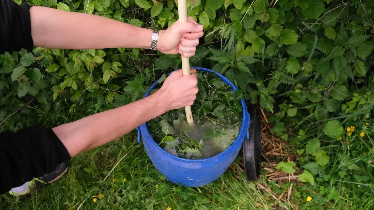 H&auml;nde r&uuml;hren Brennnesseljauche in einem blauen Eimer an. Die Jauche wird mit Wasser und Brennnesseln angesetzt.