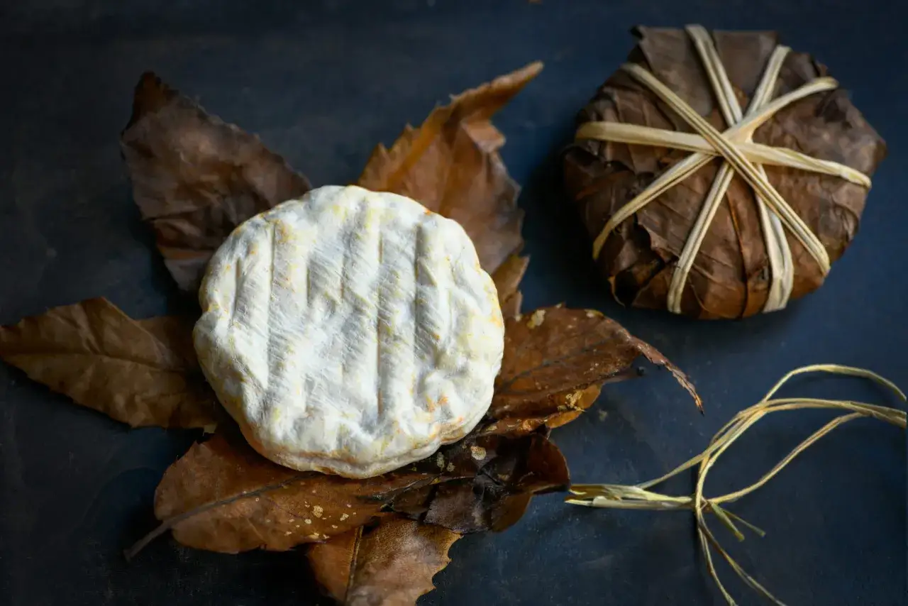 Un fromage Banon, envelopp&eacute; dans des feuilles brunes et ficel&eacute;, repose sur des feuilles d'automne.