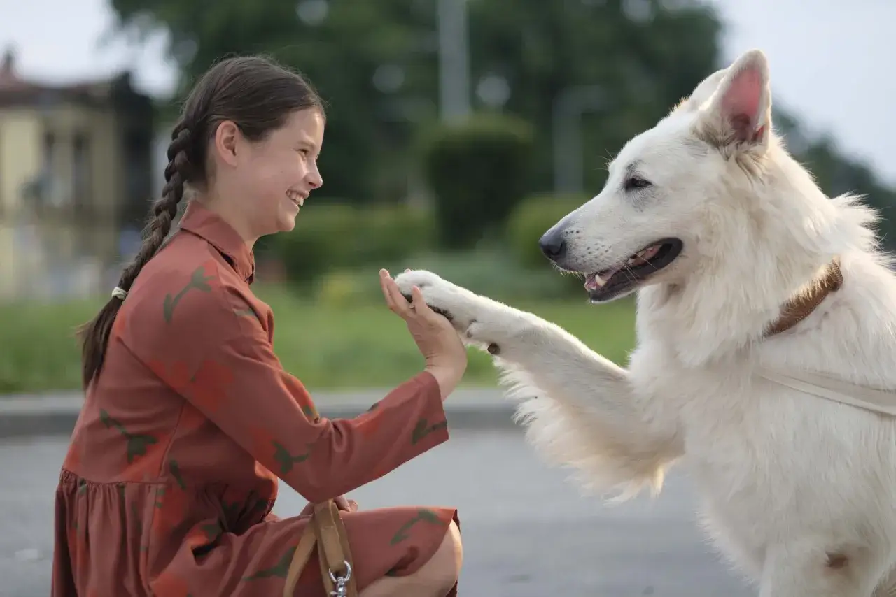 Dziewczynka z warkoczem i biały pies podają sobie łapy. To scena z filmu o psie, który jeździł koleją.