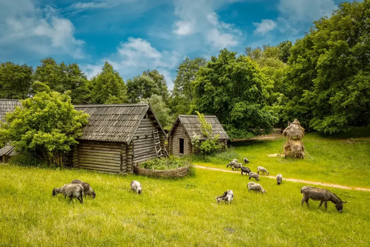 Rezerwat archeologiczny Zawodzie: drewniane chaty, pasące się owce i osiołek na zielonej łące pod błękitnym niebem.