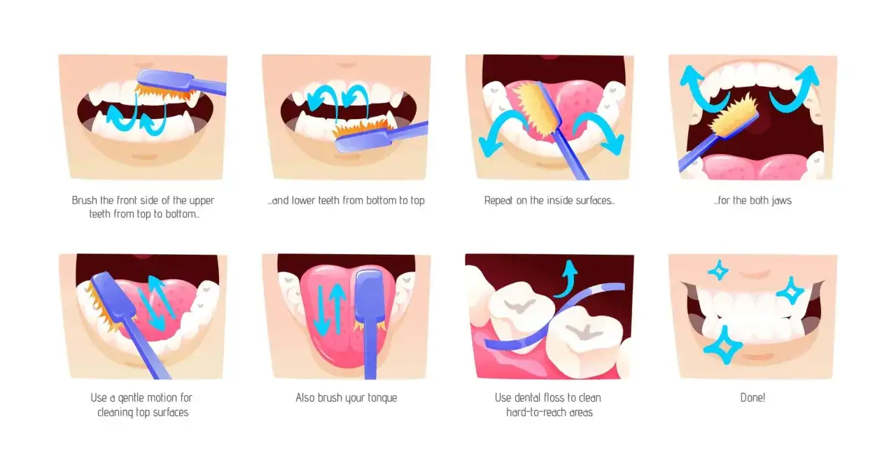 Illustrazione che mostra i passaggi per una corretta igiene orale, dalla pulizia dei denti con spazzolino e filo interdentale, fino a un sorriso splendente. Essenziale per la prevenzione odontoiatrica.
