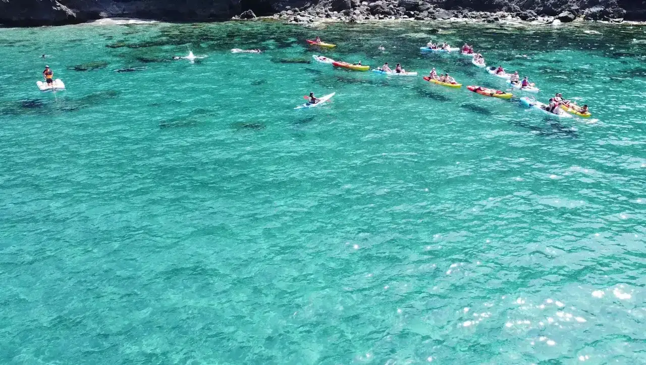 Grupo de kayaks y paddleboards explorando las aguas cristalinas cerca de las cuevas de Cabo de Gata.