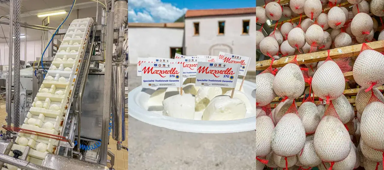 Produkcja mozzarelli: od taśmociągu z serem, przez talerz z flagami 