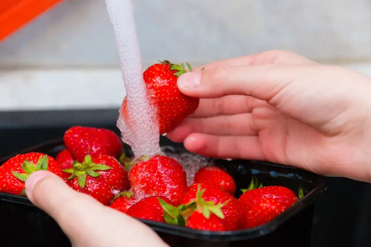 Mani che sciacquano fragole rosse sotto un getto d'acqua. Un modo semplice per capire come lavare le fragole prima di gustarle.