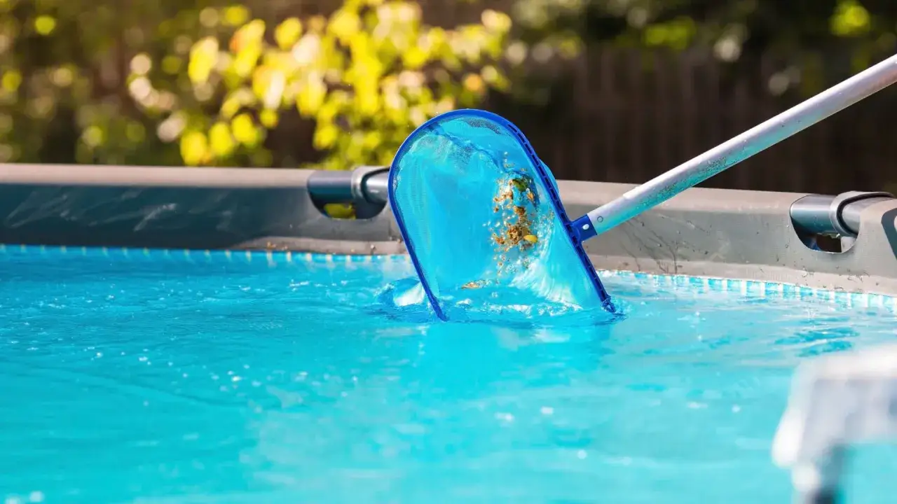 Blauer Kescher sammelt Laub und Schmutz aus dem Pool. Das Pool reinigen ist wichtig für klares Wasser.