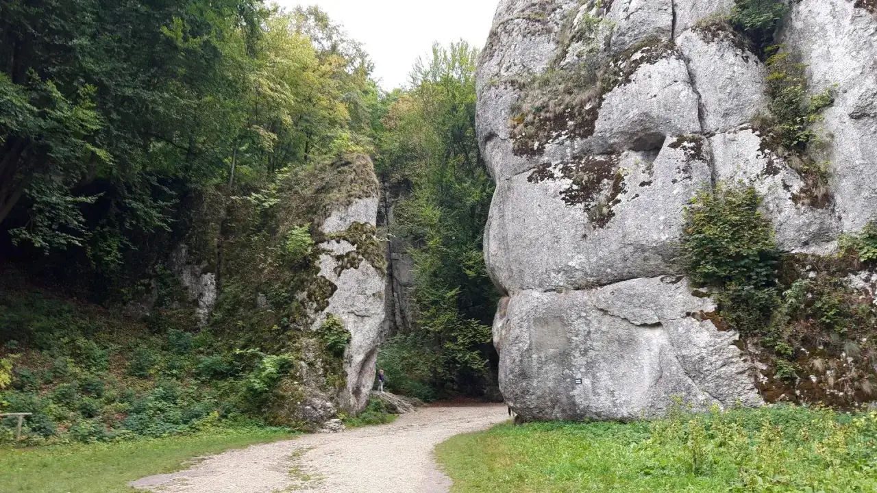 Droga przez skalny wąwóz na Szlaku Orlich Gniazd, gdzie wieś majaczy w oddali.