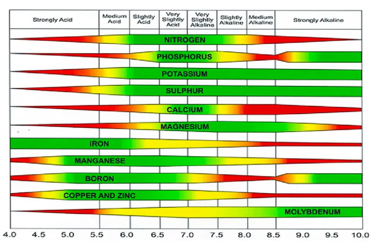 Grafico che illustra come misurare il pH del terreno e la disponibilit&agrave; di nutrienti. Le barre colorate mostrano l'assorbimento di azoto, fosforo, potassio, ecc. a diversi livelli di pH.