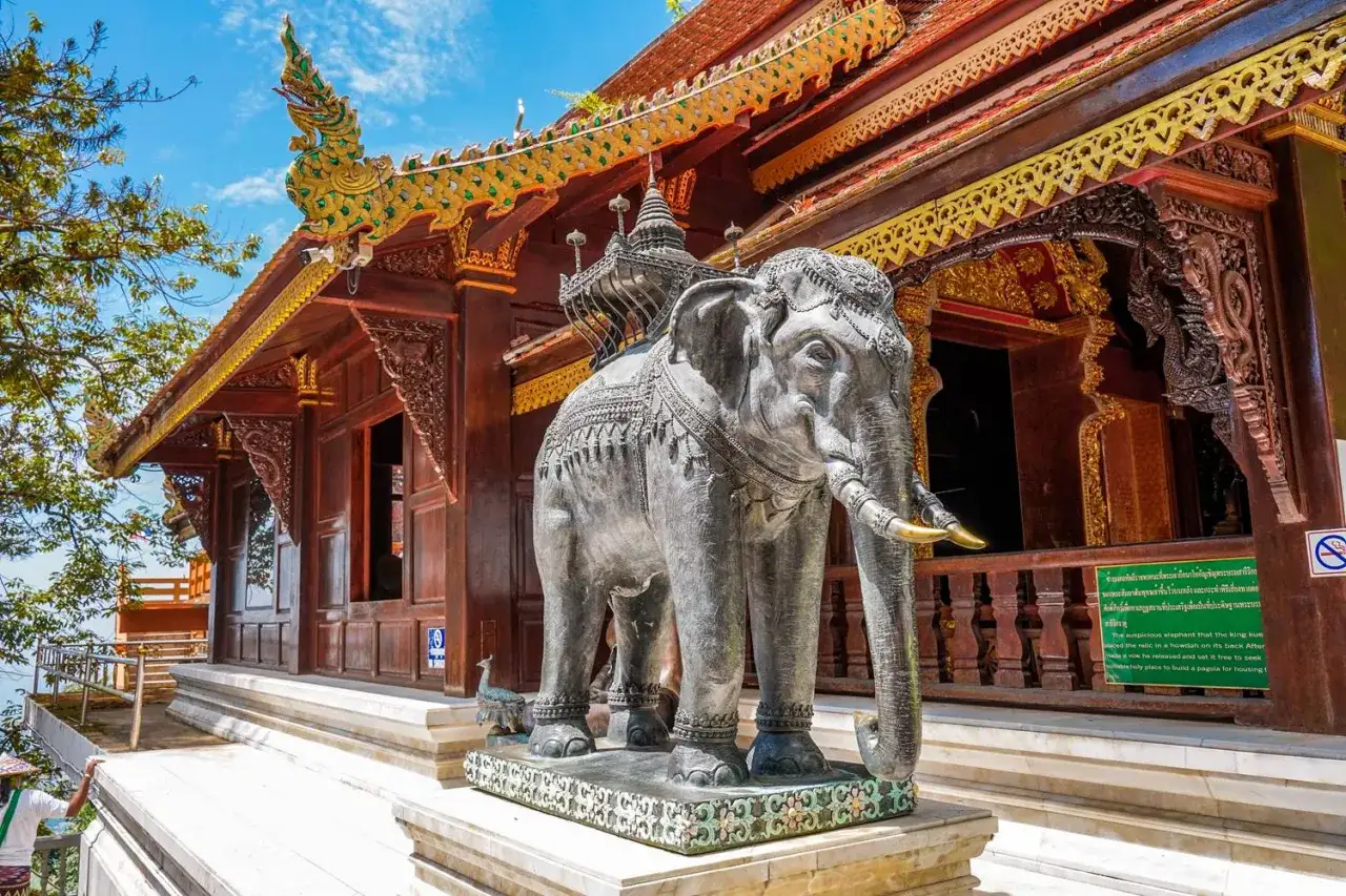 Chiang Mai atrakcje: kamienny słoń przed ozdobną świątynią z bogato zdobionym dachem.