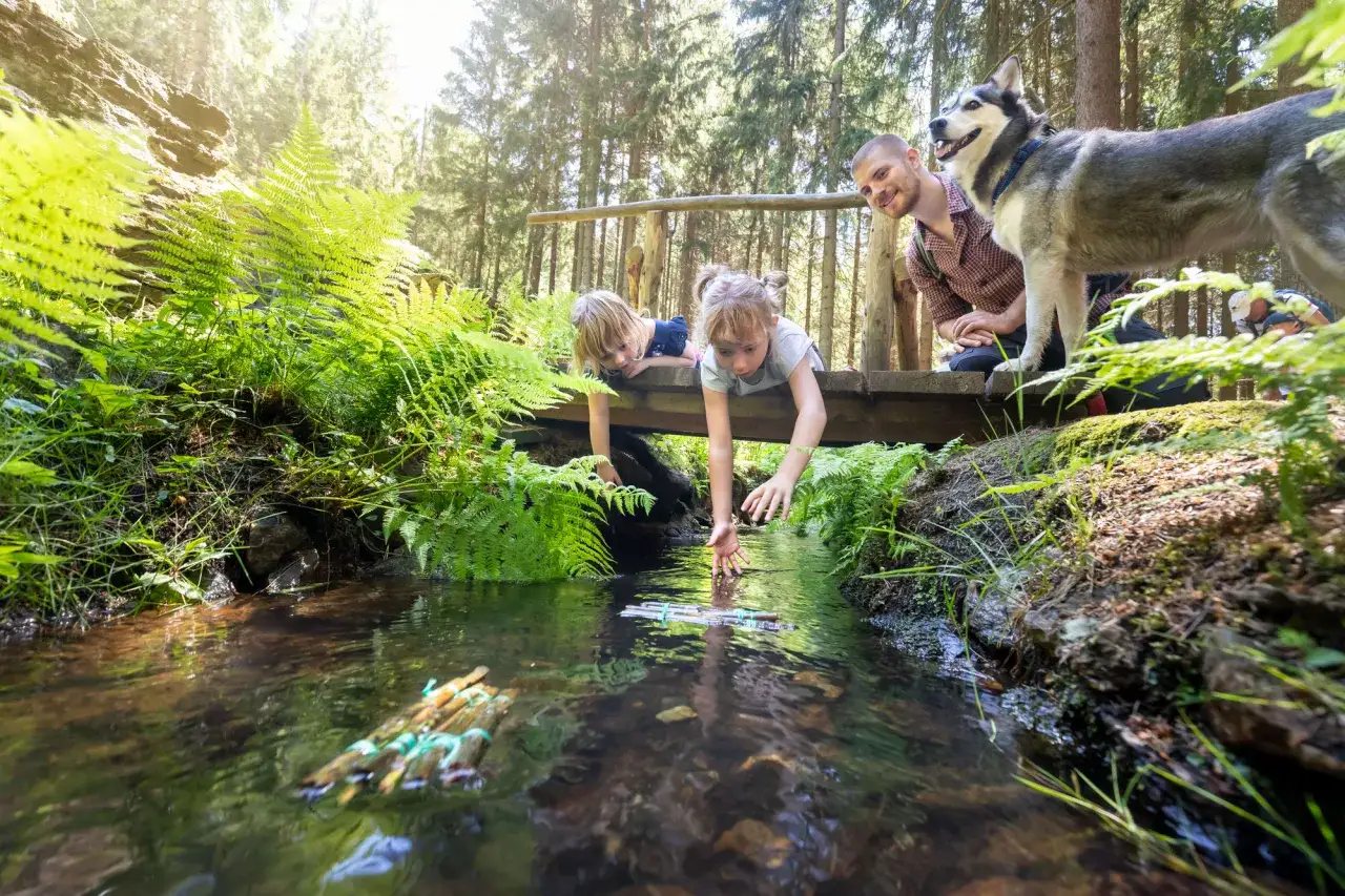 Familie mit Hund erkundet einen Bachlauf im Wald, ein tolles Erlebnis für Ausflugsziele Erzgebirge.