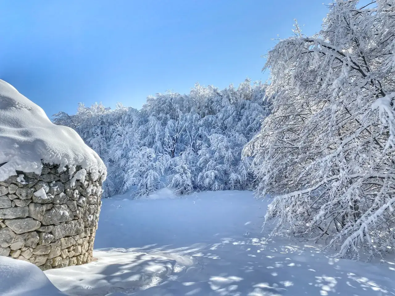 Muro di pietra innevato e bosco ghiacciato sotto un cielo azzurro, un paesaggio da passo lanciano.