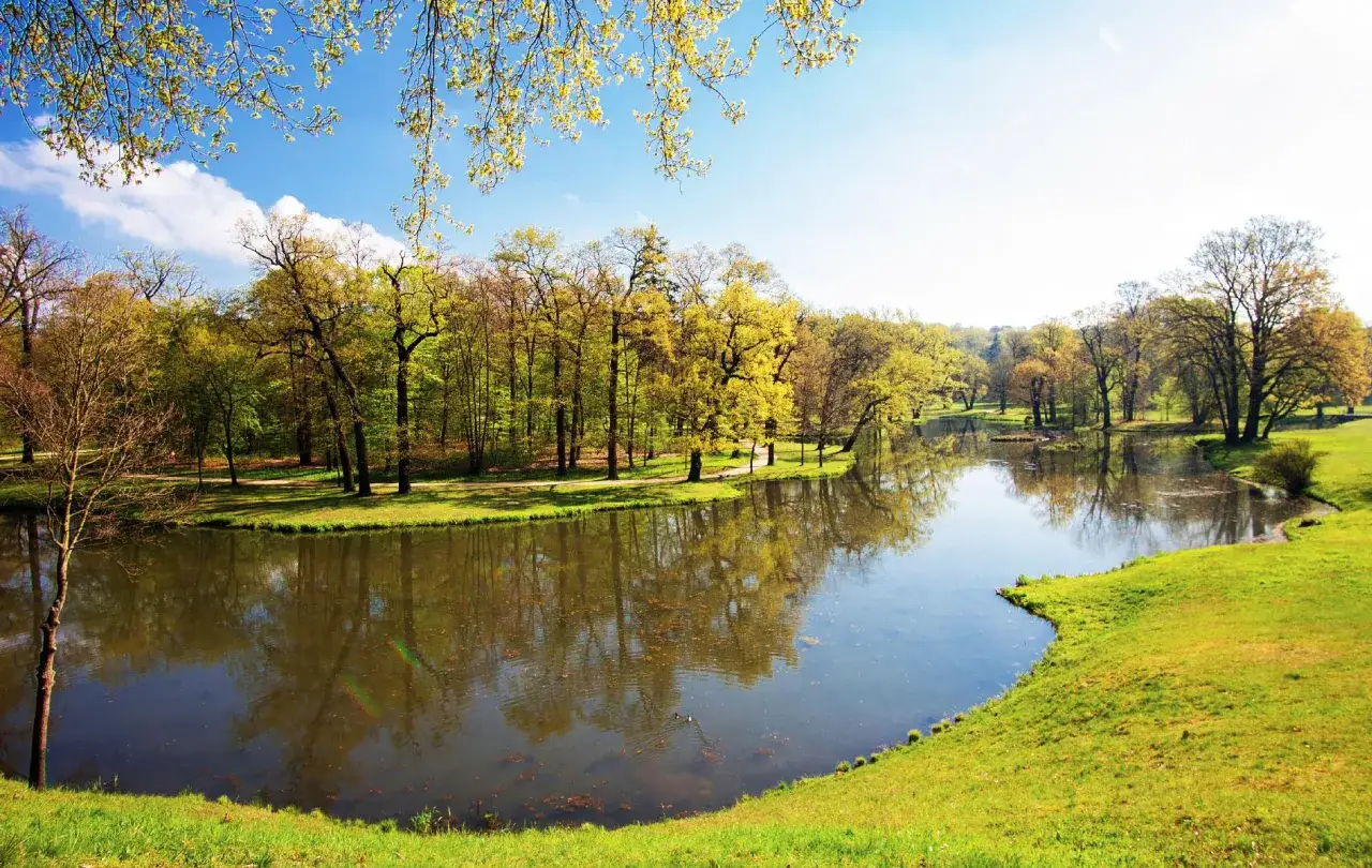 Malowniczy park w Łęknicy, z jeziorem odbijającym drzewa i błękitne niebo. Idealne miejsce na spacer i podziwianie przyrody.