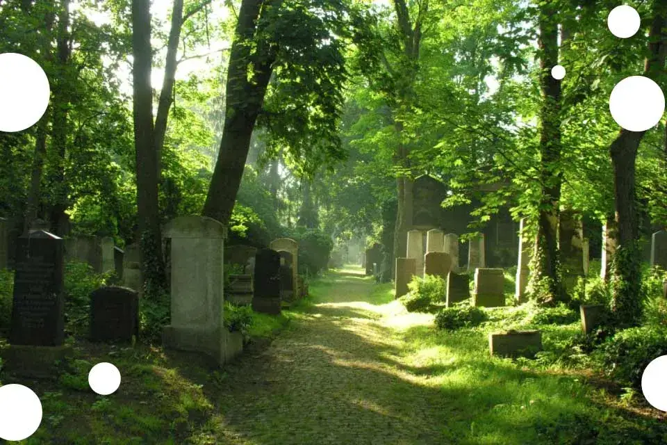 Zdjęcie Muzeum Sztuki Cmentarnej Wrocław - Odkryj unikalne dziedzictwo artystyczne