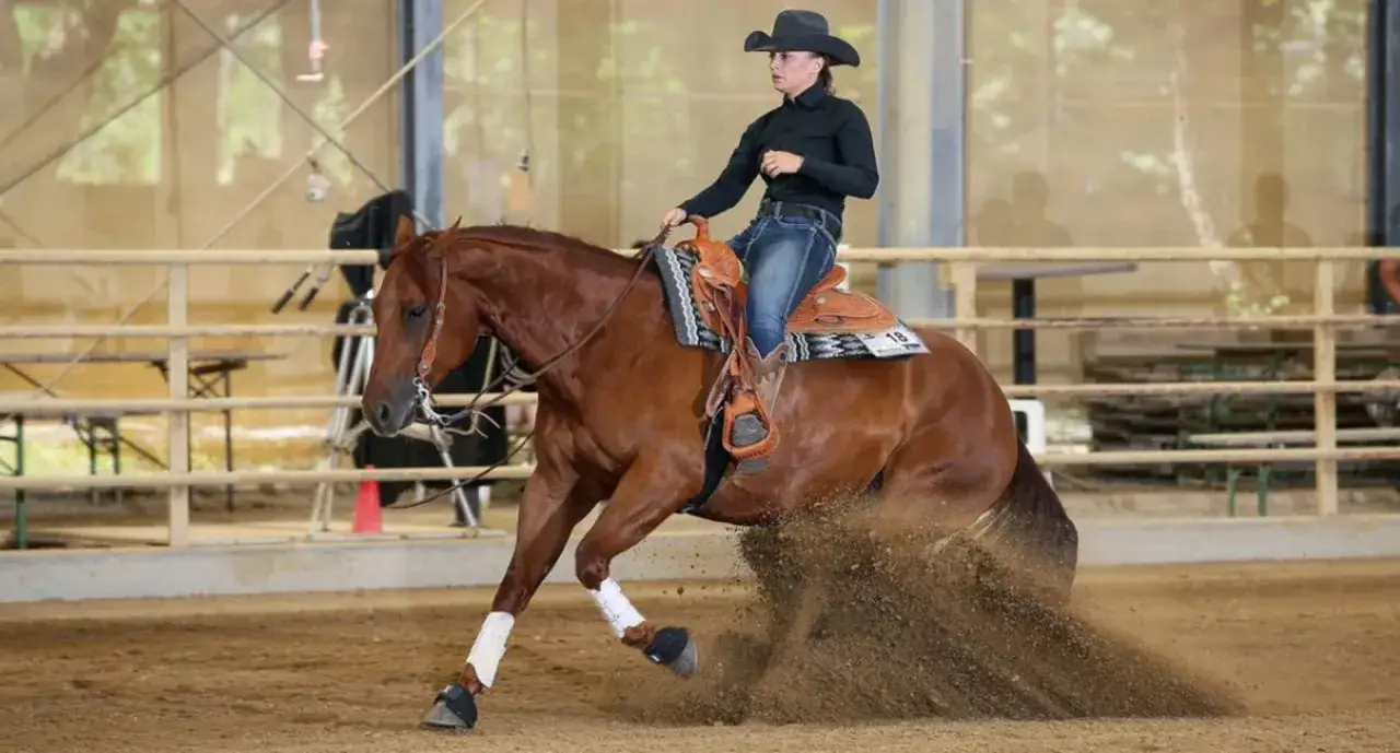 Eine Reiterin im Westernsattel vollf&uuml;hrt beim Reining Reiten einen spektakul&auml;ren Stopp, wobei der Boden aufwirbelt.