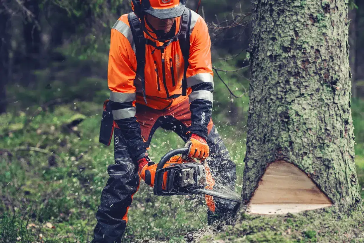 Drwal w pomarańczowym stroju używa piły łańcuchowej. Husqvarna 359 dane techniczne - moc i wydajność w akcji.