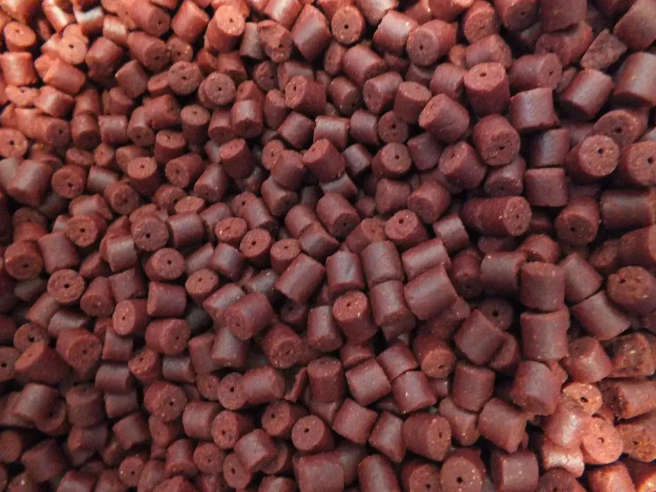 Pellet ochotka na jakie ryby? Te małe, ciemnoczerwone granulki to przynęta, kt&oacute;ra kusi karpie i inne ryby spokojnego żeru.