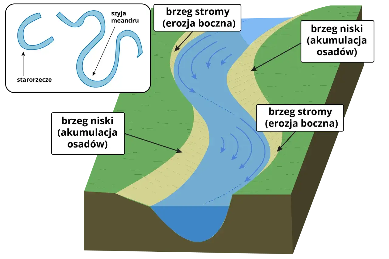 Ilustracja pokazuje meandry rzeki, starorzecze i procesy erozji bocznej oraz akumulacji osadów.