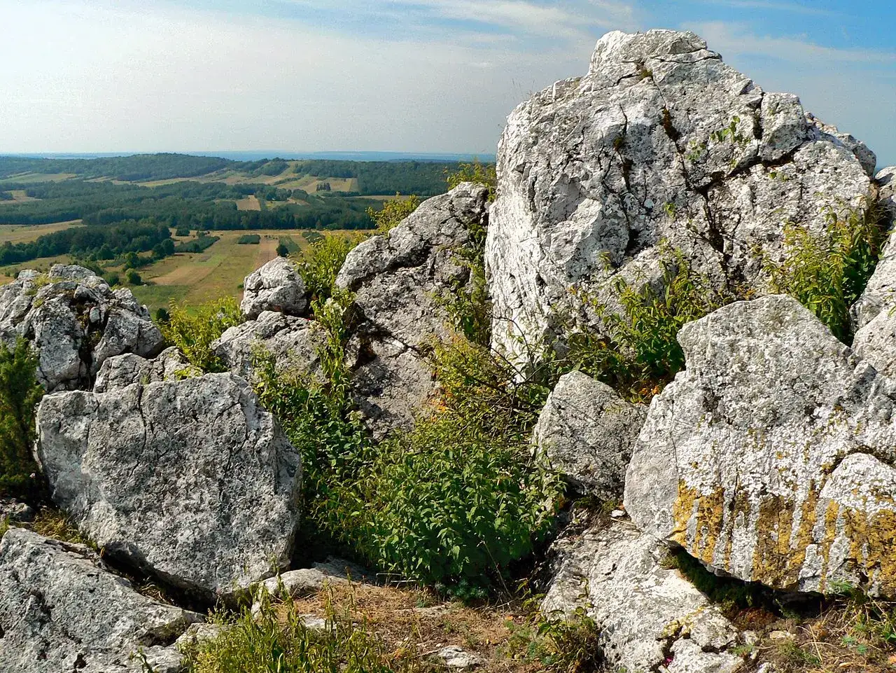 Skały wapienne, ostańce, porośnięte zielenią, górują nad krajobrazem pól i lasów.