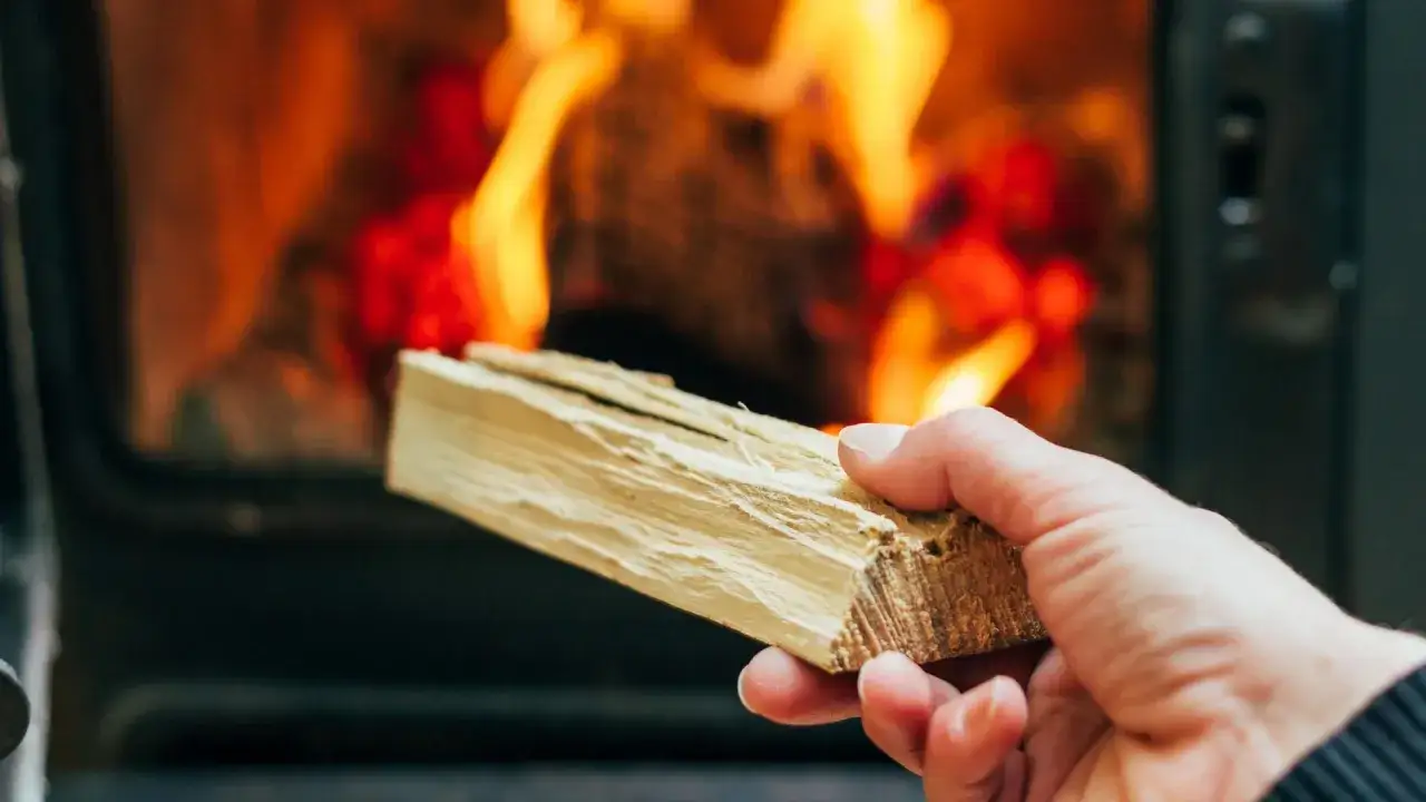 Hand hält Holzscheit vor brennendem Kaminfeuer. Ab wann brennt Holz? Sobald es trocken ist und die Flammen es erreichen.
