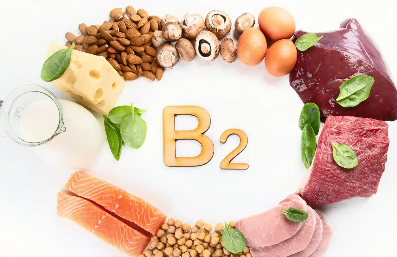 Witaj w świecie witaminy B2! Na zdjęciu znajdziesz bogactwo produkt&oacute;w: łososia, ciecierzycę, wieprzowinę, wołowinę, wątr&oacute;bkę, jajka, grzyby, migdały, ser i mleko.