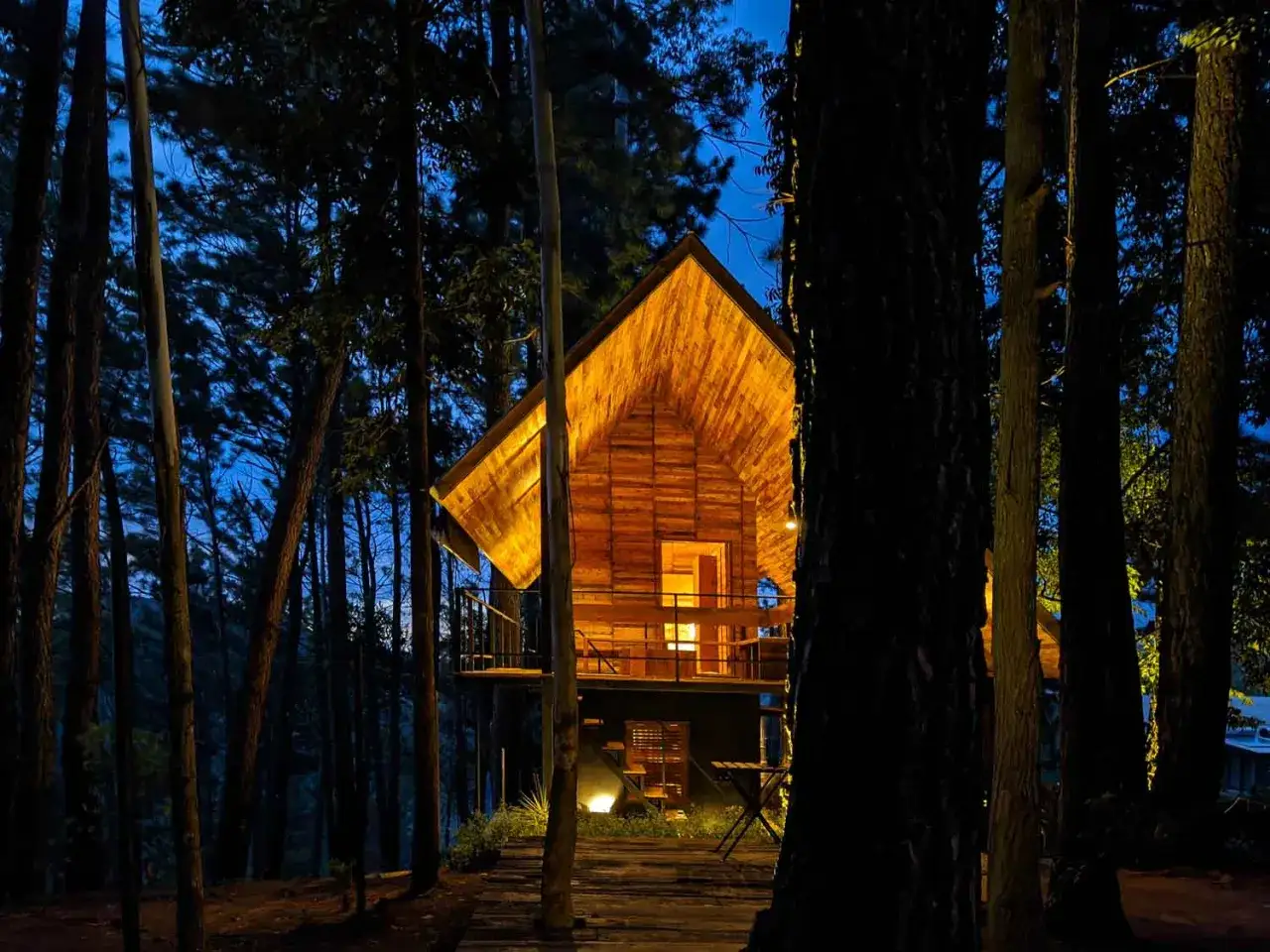 Caba&ntilde;a de madera iluminada en un bosque oscuro, un refugio que inspira conciencia ecol&oacute;gica y respeto por la naturaleza.