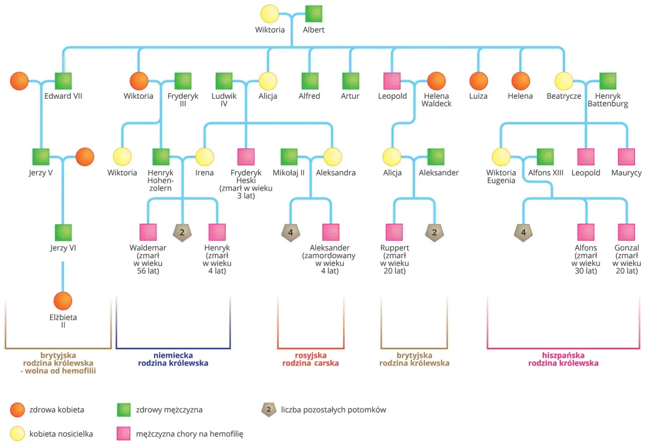 Drzewo genealogiczne pokazuje dziedziczenie daltonizmu w rodzinach królewskich. Kobiety nosicielki (żółte koła) przekazują wadę.