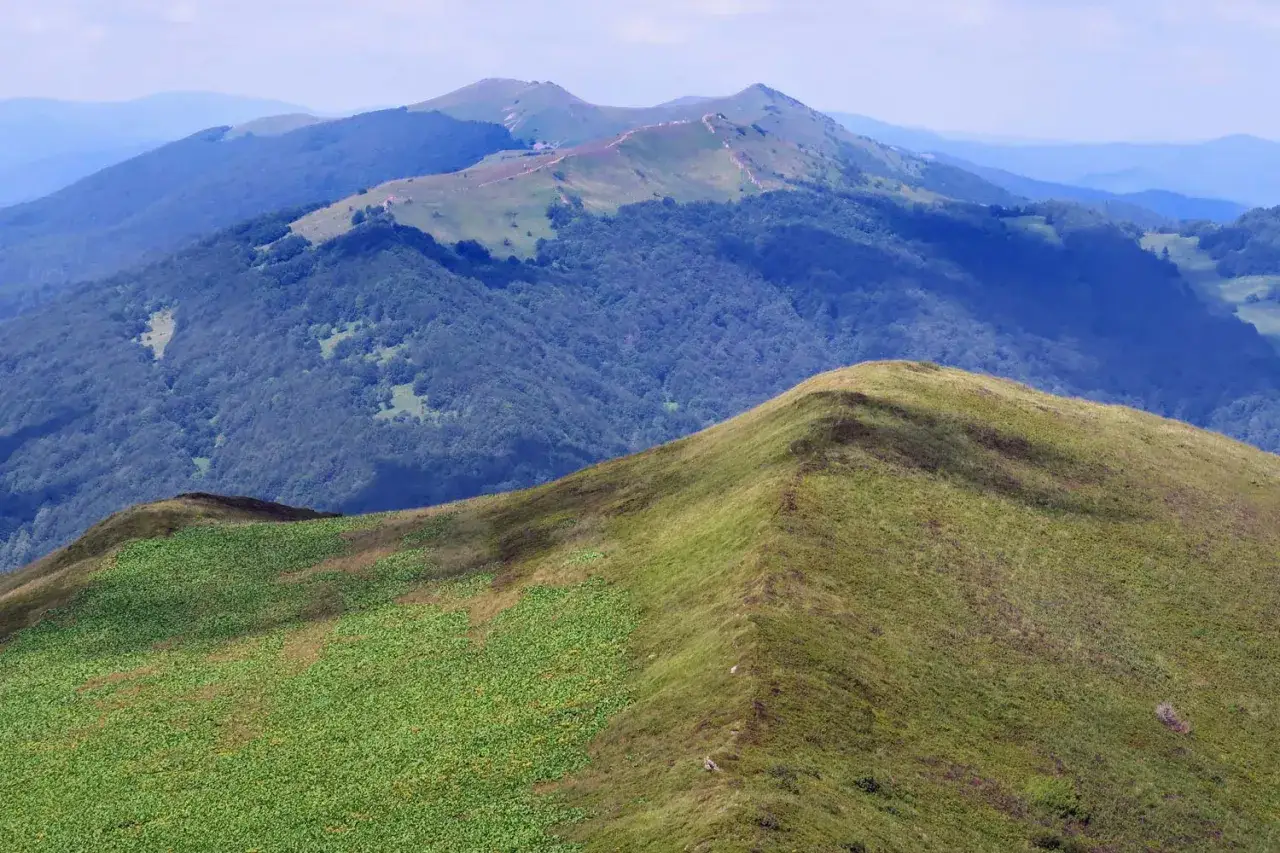Widok na Połoninę Caryńską. Widać szlak prowadzący przez zielone wzgórza i lasy. Ile się idzie, zależy od kondycji.