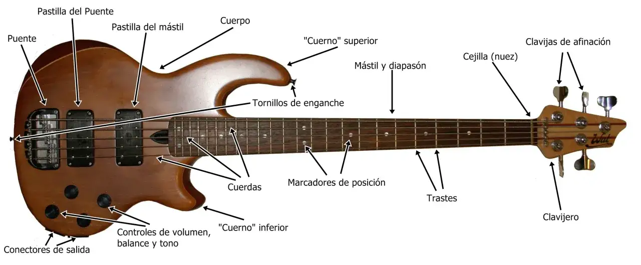 Detailansicht eines E-Bass-Aufbaus mit beschrifteten Teilen wie Korpus, Hals, Saiten und Tonabnehmern.