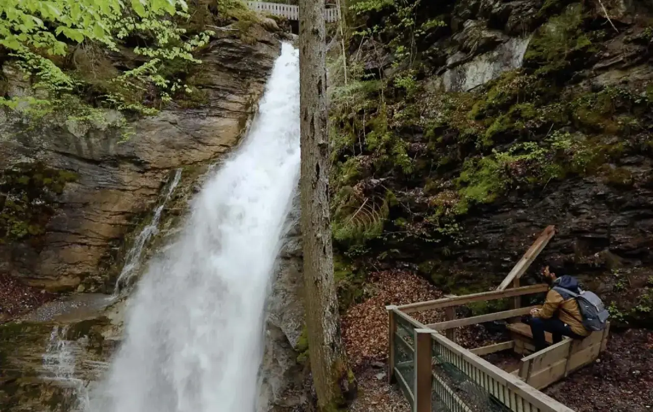Un homme admire la cascade de Nyon, entourée de verdure et de rochers. Un chemin en bois mène à un point de vue.