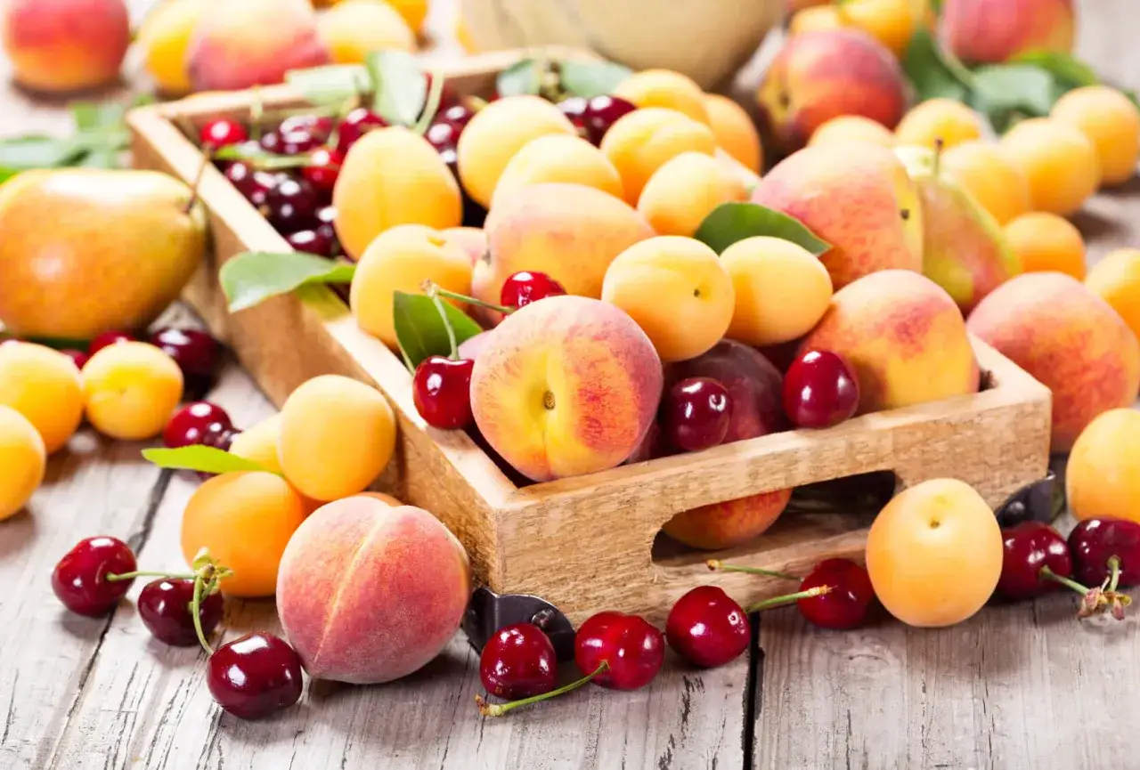 Un cesto traboccante di succosa frutta di stagione giugno: pesche, albicocche e ciliegie rosse brillanti su un tavolo di legno.