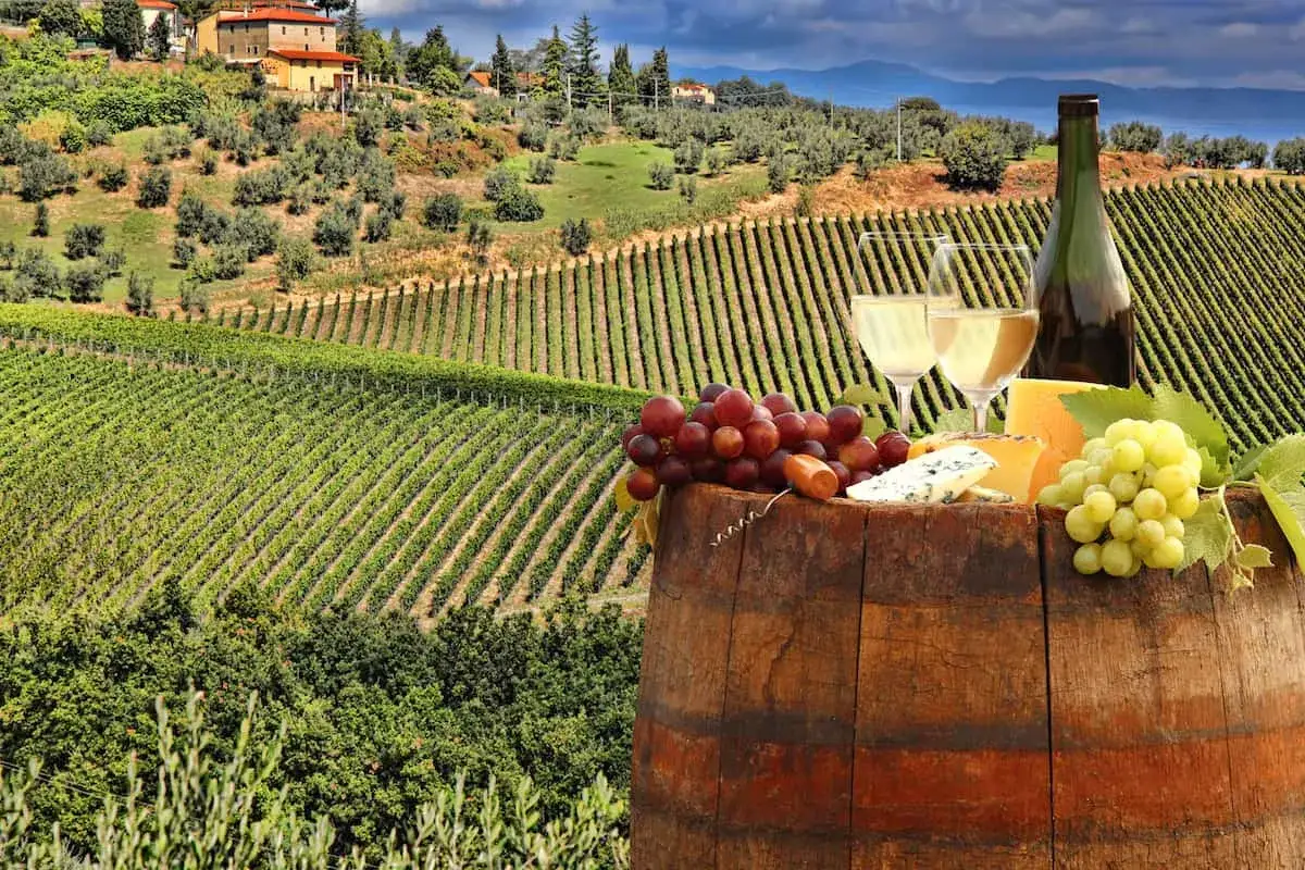 Weinprobe in Italien: Trauben, Käse und Gläser mit Weißwein vor einer malerischen Weinbergslandschaft. Perfekt für die 10 besten italienischen Weine.