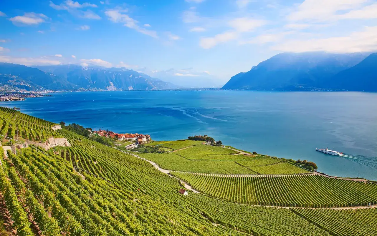 Vigneti terrazzati scendono verso il Lago di Ginevra, con montagne sullo sfondo. Un battello solca le acque azzurre. Un assaggio di cosa vedere a Losanna.