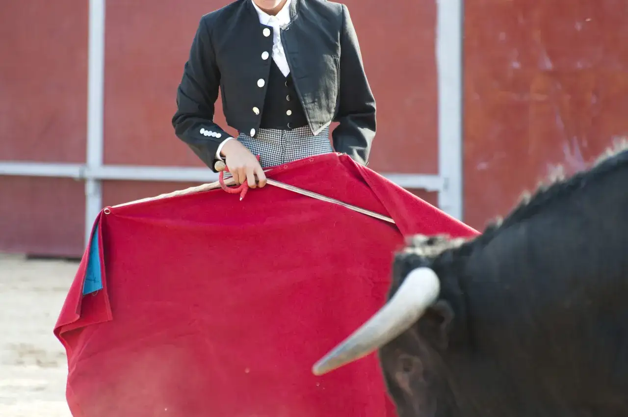 El traje de luces de un torero hombre, con su chaquetilla negra y pantal&oacute;n a cuadros, listo para el lance con el toro.
