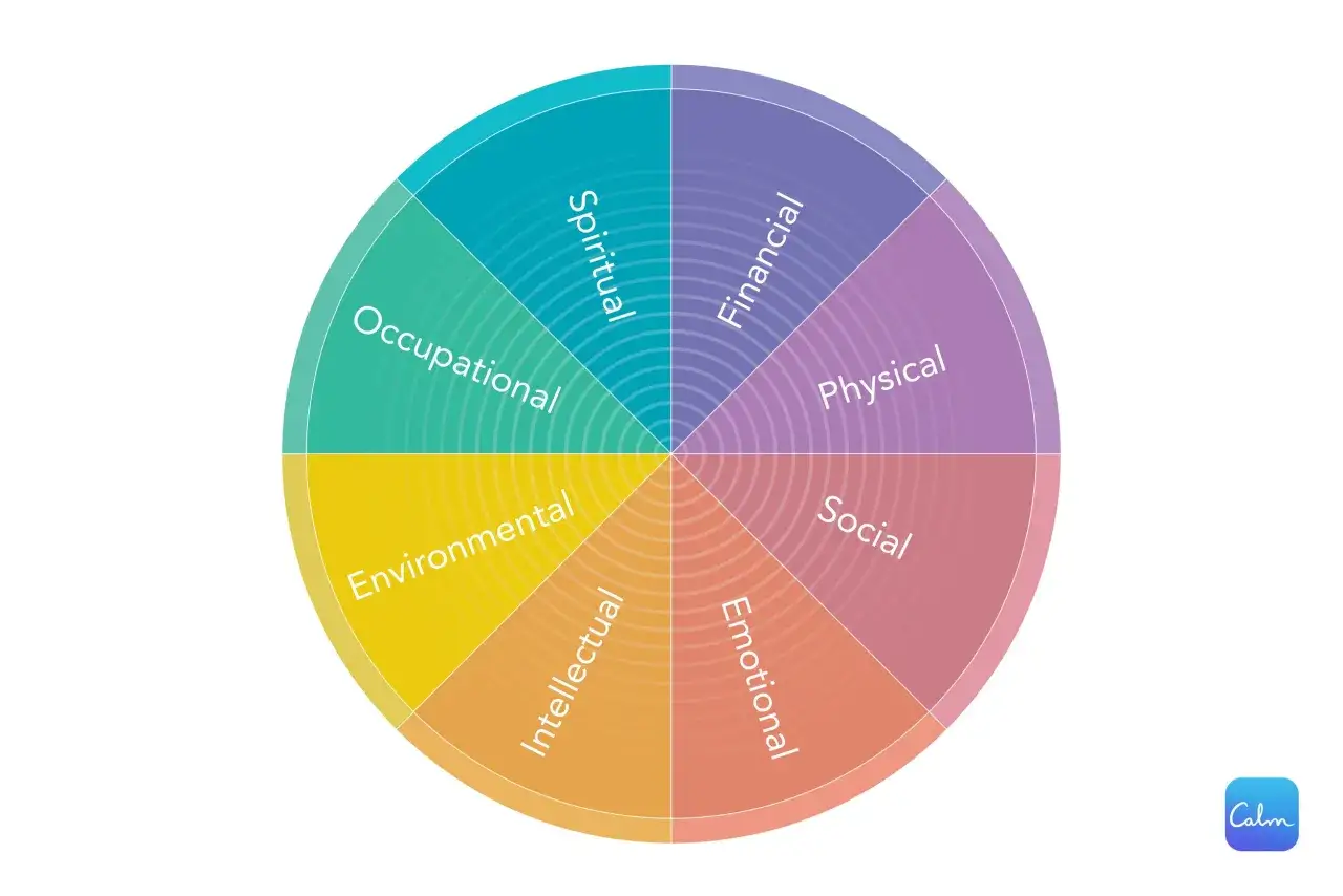 A colorful wheel divided into eight segments: Spiritual, Occupational, Environmental, Intellectual, Emotional, Social, Physical, and Financial.