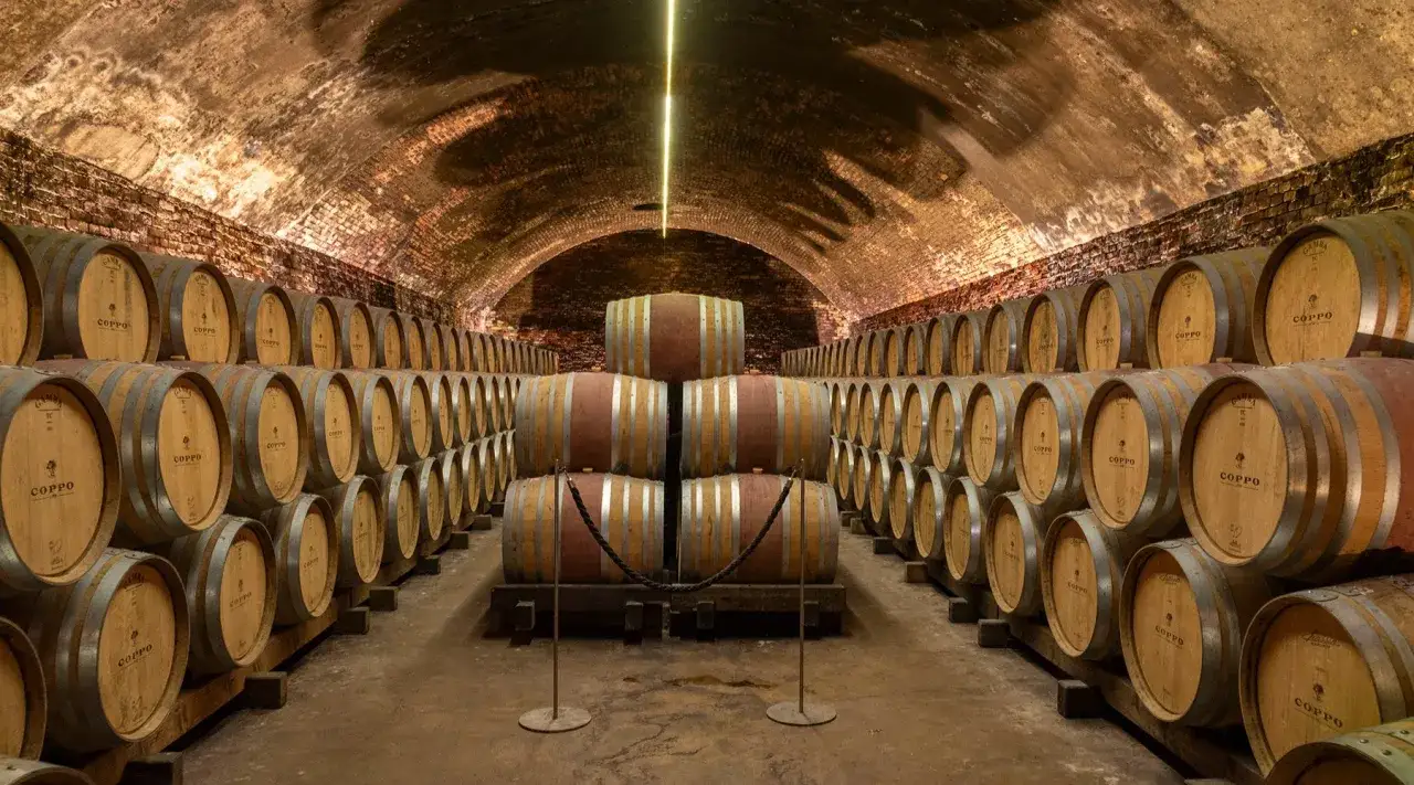 Le cattedrali sotterranee di Canelli, un'infinit&agrave; di botti di legno in un ambiente suggestivo e antico.