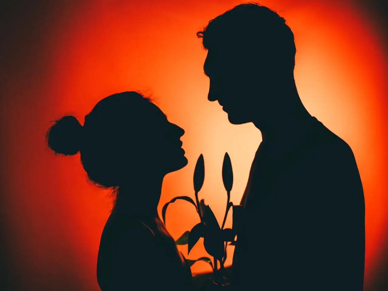 Siluetas de pareja mir&aacute;ndose, con flores entre ellos. Una imagen que evoca la **codependencia de pareja**, donde las vidas se entrelazan de forma intensa.