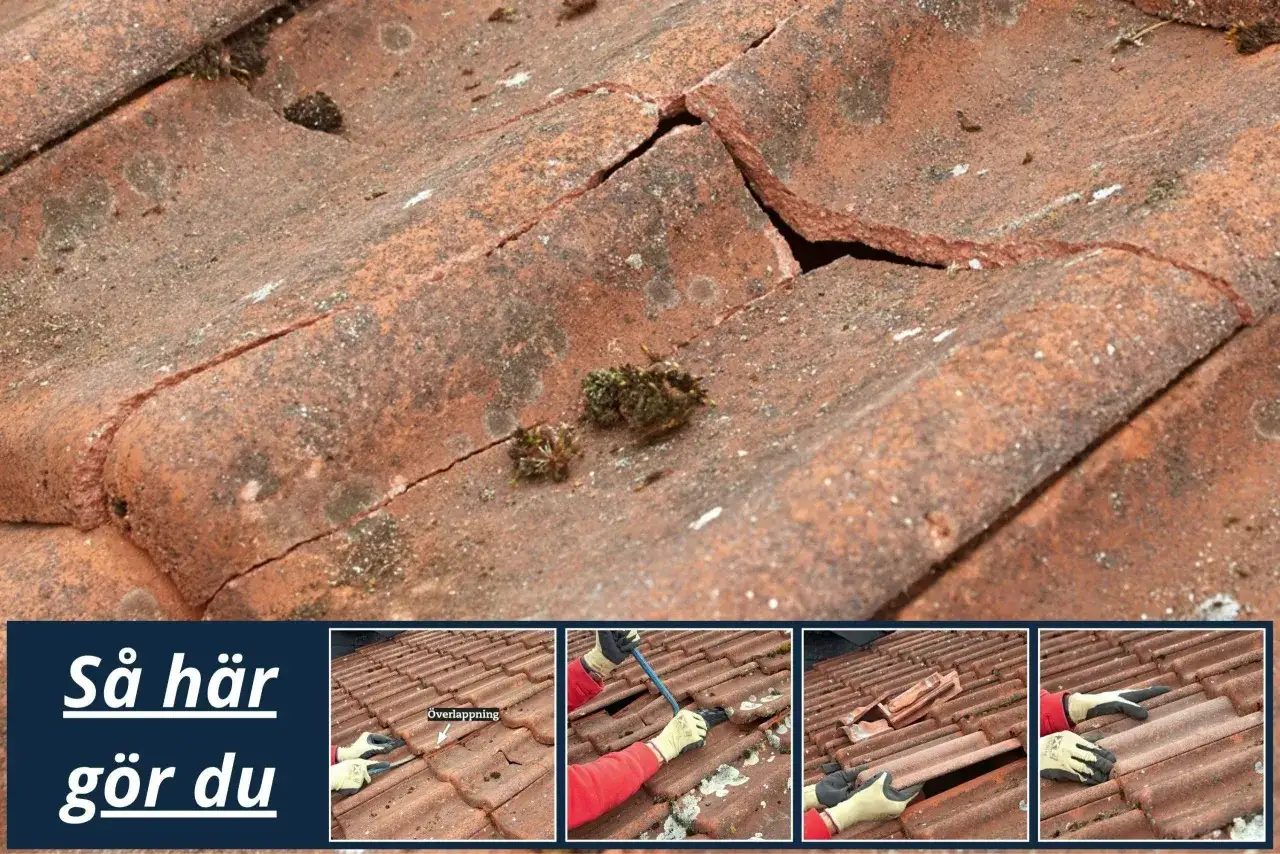 Sprickor i takpannor visar hur man kan byta takpanna. Bilden visar en närbild på ett tak med spruckna, mossiga takpannor och en serie bilder som illustrerar processen.