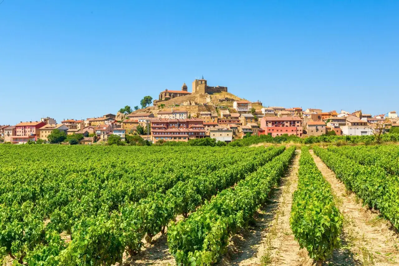 Viñedos verdes se extienden hacia el pintoresco barrio de la estación Haro, coronado por un castillo y casas de tejados rojos bajo un cielo azul.