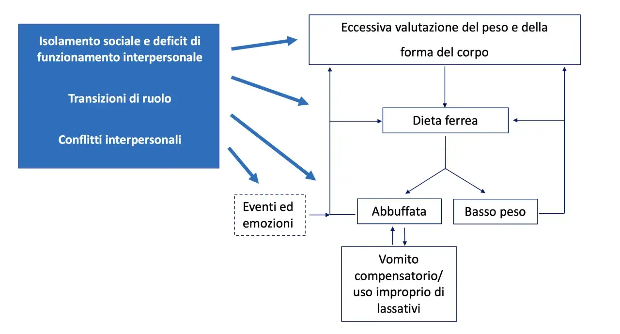 Schema che illustra i fattori scatenanti e di mantenimento dei disturbi alimentari: isolamento, transizioni, conflitti, eventi emotivi, eccessiva valutazione del peso, dieta ferrea, abbuffate, vomito e basso peso. Cosa non dire a chi soffre di disturbi...