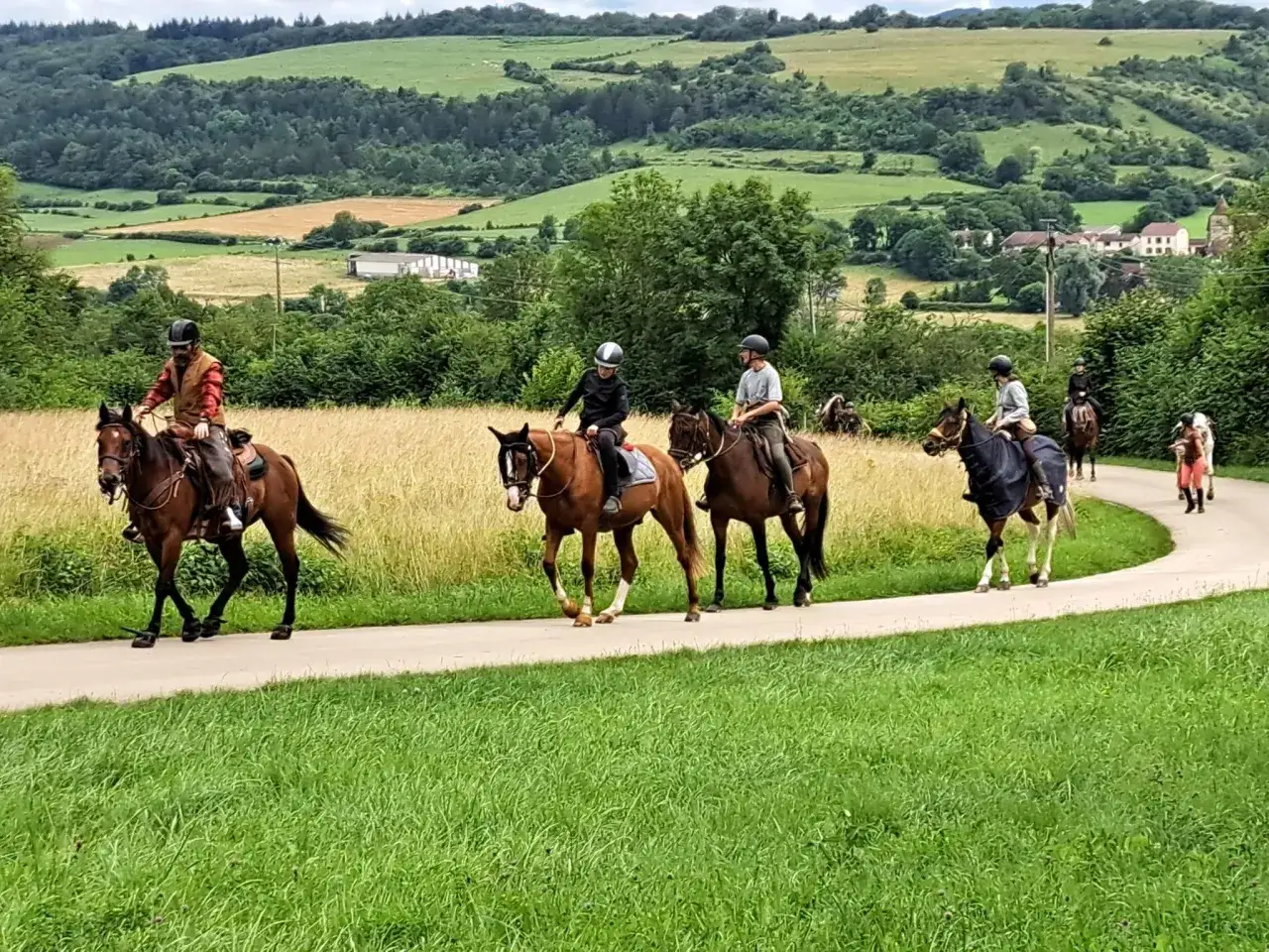 Une promenade à cheval dans un paysage vallonné, parfait pour un gîte équestre. Les cavaliers profitent de la nature.