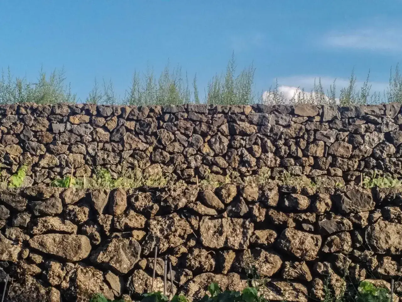 Muri a secco che definiscono terrazzamenti, un'antica tecnica agricola per sfruttare i pendii. Il loro significato &egrave; resilienza e ingegno umano.
