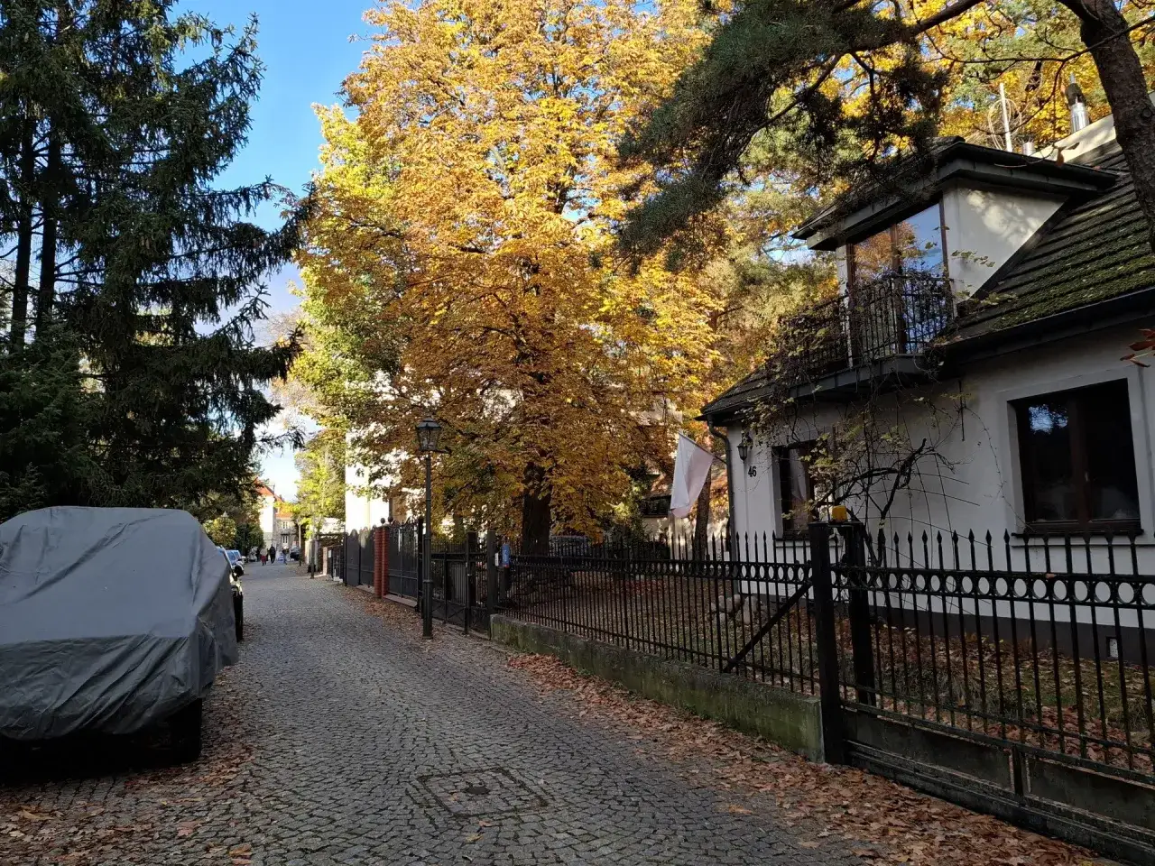 Ulica Letnia Warszawa jesień