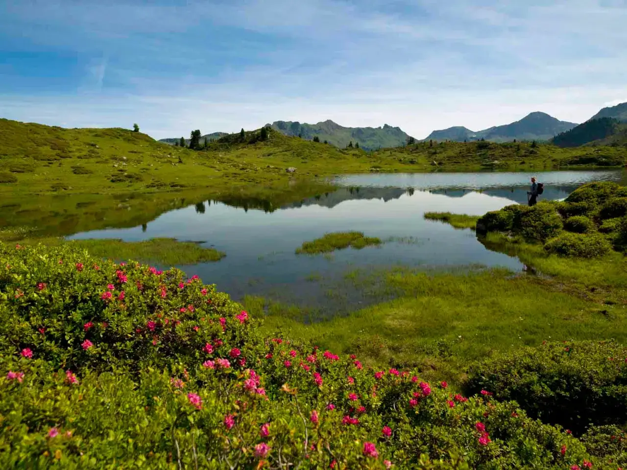 Un escursionista ammira il **lago delle buse**, circondato da prati verdi e fiori rosa. Riflessi sulle acque calme e montagne sullo sfondo.