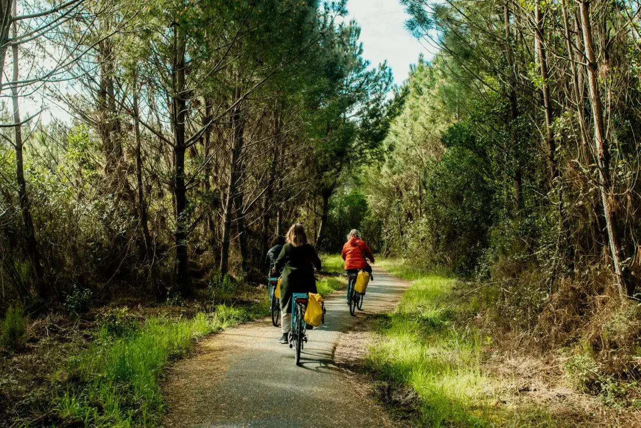 Disfrutando de las landas en bici, un grupo pedalea por un sendero boscoso, con alforjas amarillas listas para la aventura.