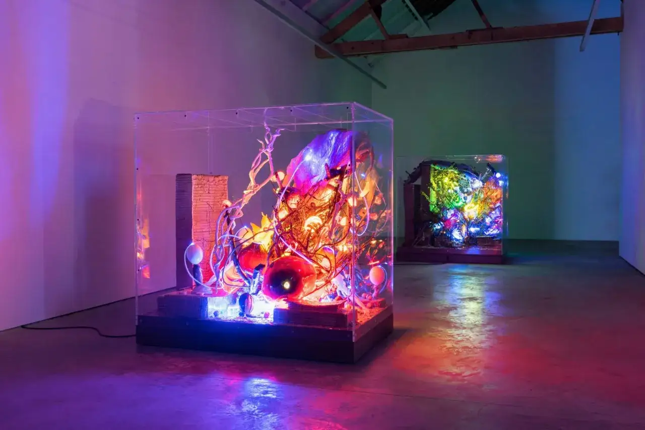 Vibrant, illuminated sculptures in glass cases, showcasing the innovative spirit of NYC galleries for emerging artists.