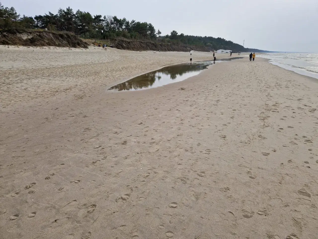 Plaża na Mierzei Wiślanej. Piasek, morze i kilka osób spacerujących w oddali.