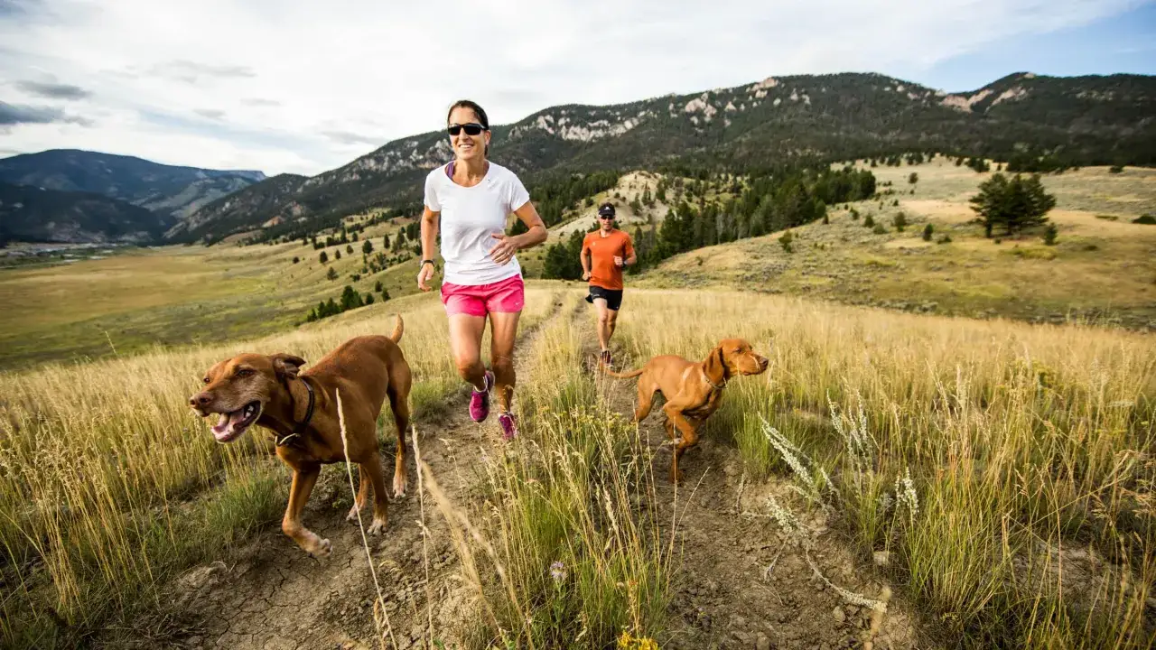 Deux personnes et leurs chiens courent sur un sentier de montagne.