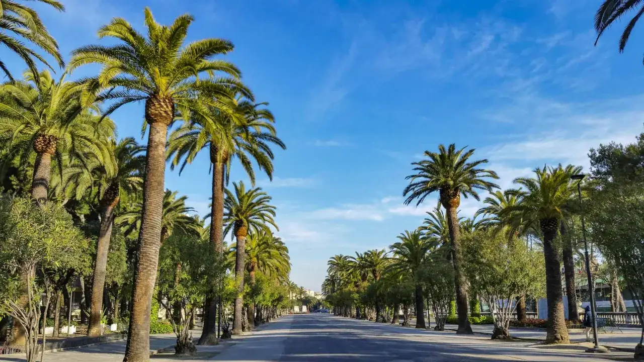 Viale alberato con palme lungo il centro passeggiata San Benedetto del Tronto, sotto un cielo azzurro e limpido.